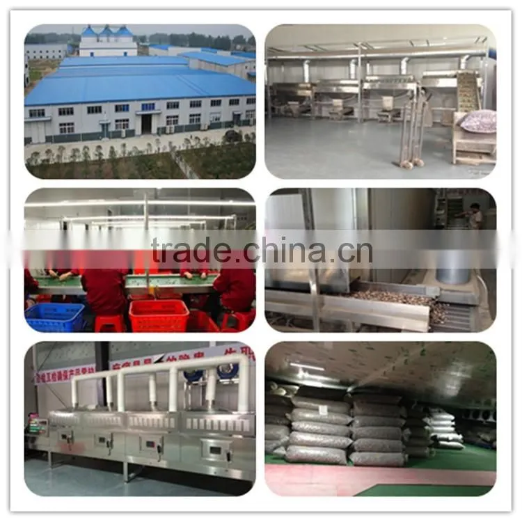 Wholesale Factory Prices for Shiitake 1KG
