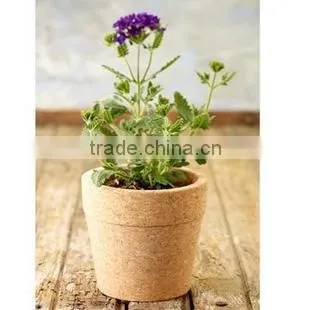 cork flowerpot/cork planter