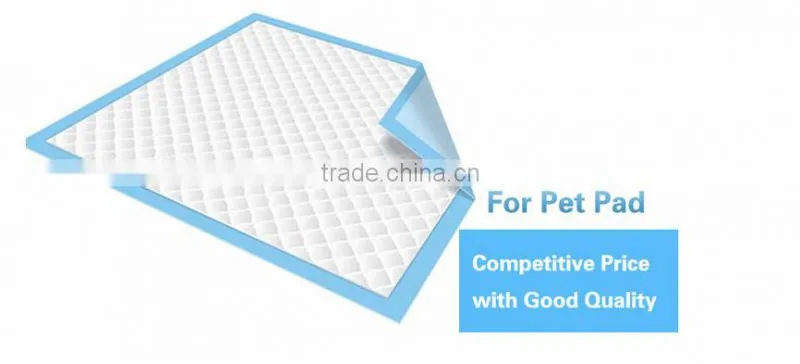 super absorbent polymer