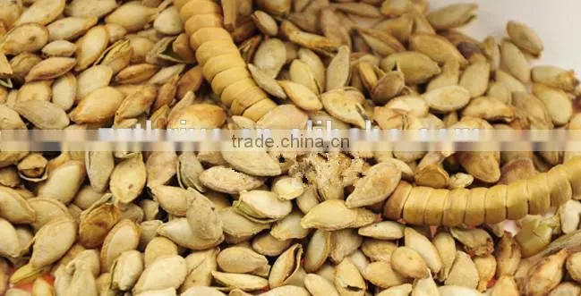 chestnut Pine Nut Opener equipment,Filbert nut opening machine,Walnut opening machine