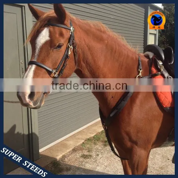 Horse Briddle with raised browband