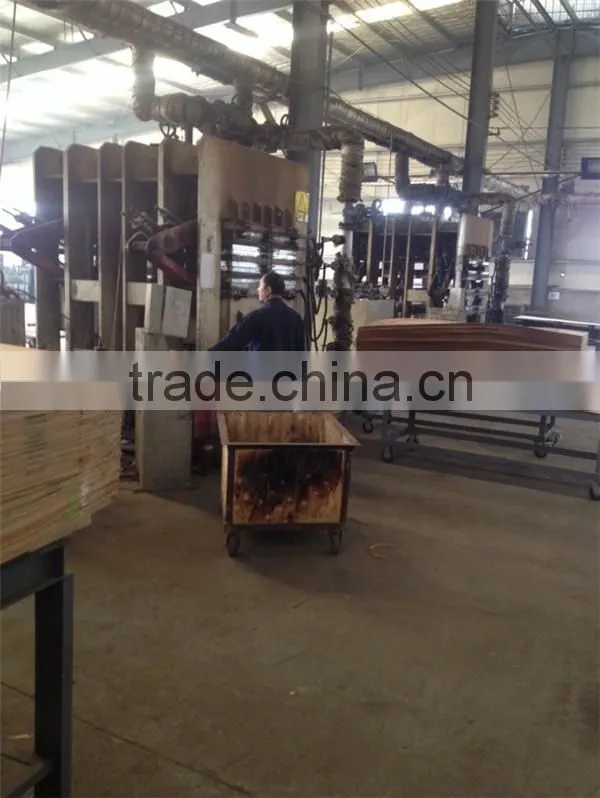 wood veneer door skin/teak wood door skin/molded melamine door skin