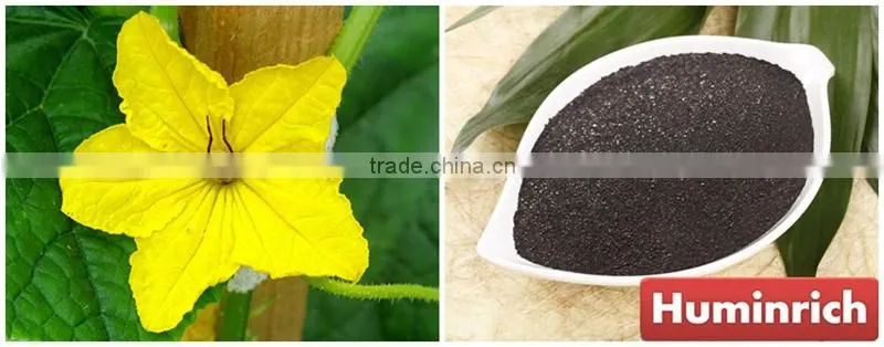 Huminrich Enhances Soil Fertility 55HA+12%K2O Potassium Humate Fertilizer For Greenhouse