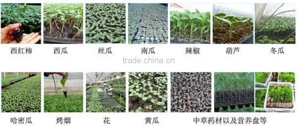 Onion transplanter machine sale, Hand held transplanter for tomatoes
