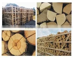 Jsc Woodbioma company overview - view 1