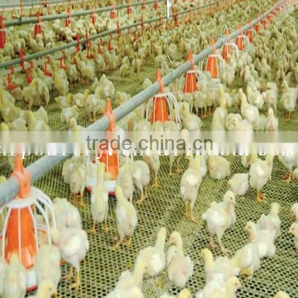 Professional high quality steel poultry shed/house for broiler
