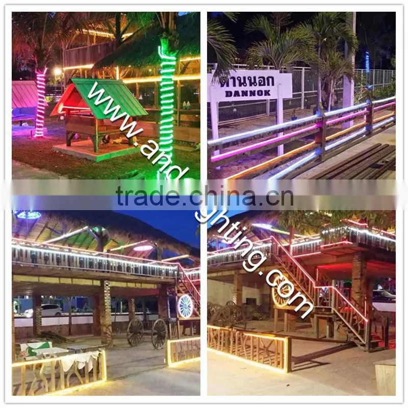 Flex LED Neon strip building outline lighting