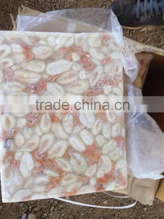 2015 fresh frozen cuttlefish roe BQF