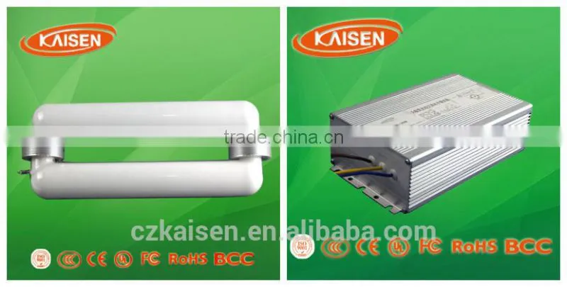induction light source