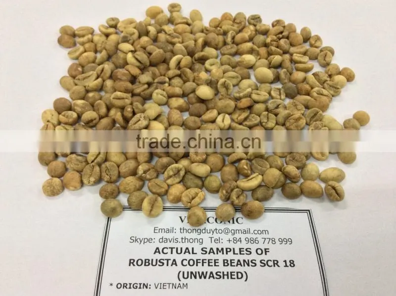 GREEN ROBUSTA COFFEE SCR 18 (skype: davis.thong, mobi: +84 986 778 999)