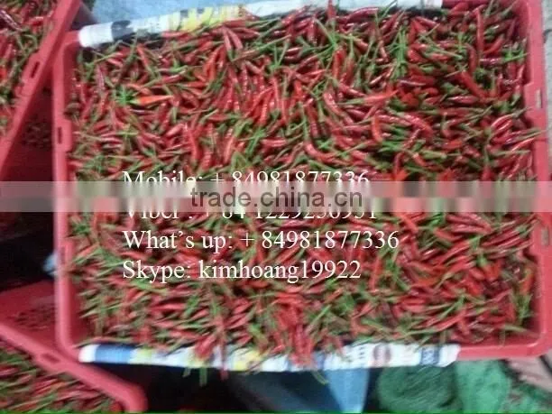 chili Peppers