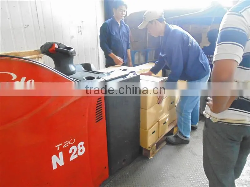 fresh lime VIET NAM 2015