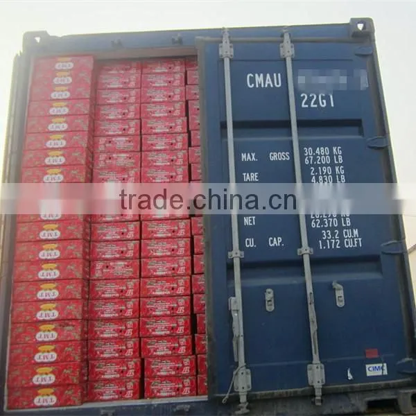 bulk canned sardine fish in oil and sauce from Morocco with YOLI brand