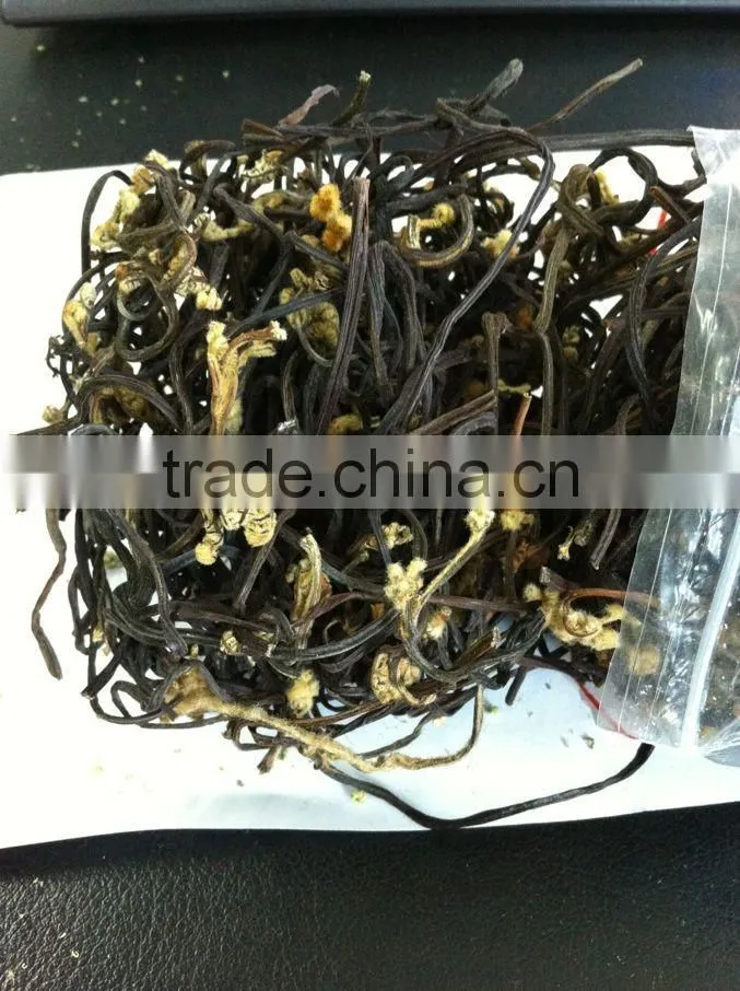 dry bracken natural bracken hot sale for Korea and Europe