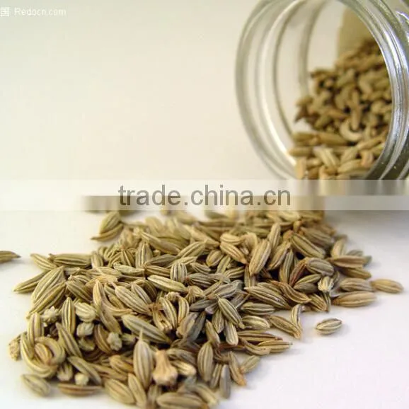 China manufacturer wholesale Fennel powder buying on alibaba