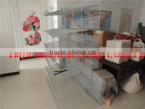 TAIYU Foreign Agent Farm Quail Visit Customers Every Year