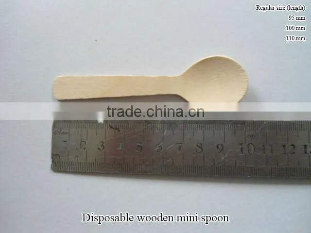 Disposable wooden mini spoon