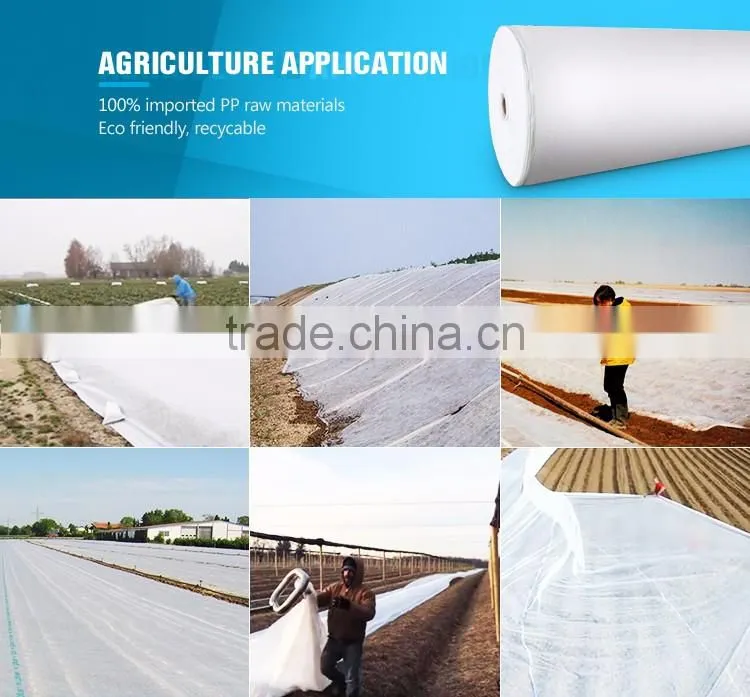 Manufacturer China Landscaping 100% Pp Spunbonded Nonwoven Fabric