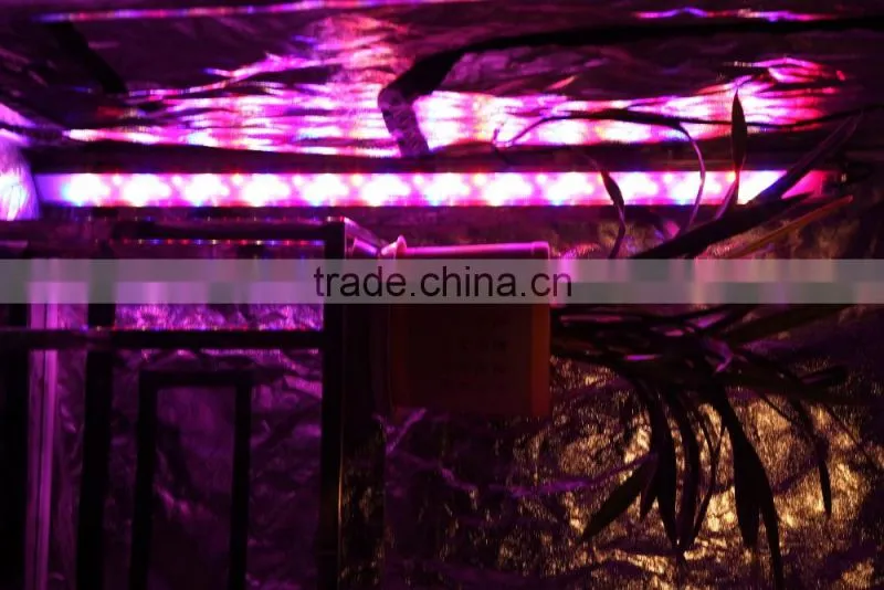 ShenZhen LED Manufacturer supply Full spectrum LED Grow Light MarsHydro LED Lights Grow Bar