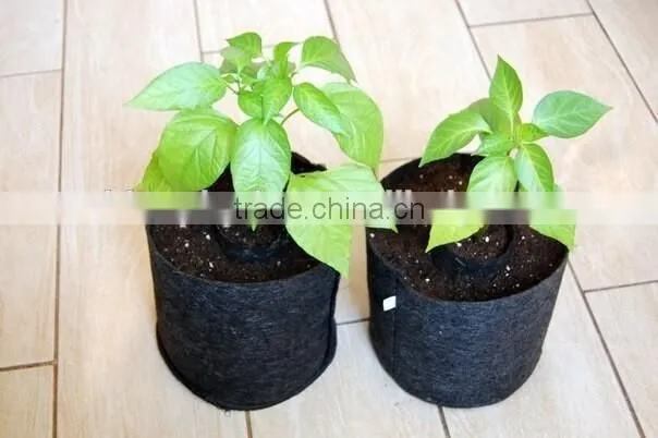 2016 Environment-friendly hydroponic plant fabric pots / maintains necessary balance