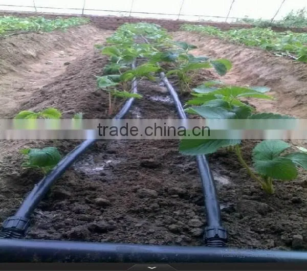 PE Pipe Material and Drain Pipe,Drip irrigation