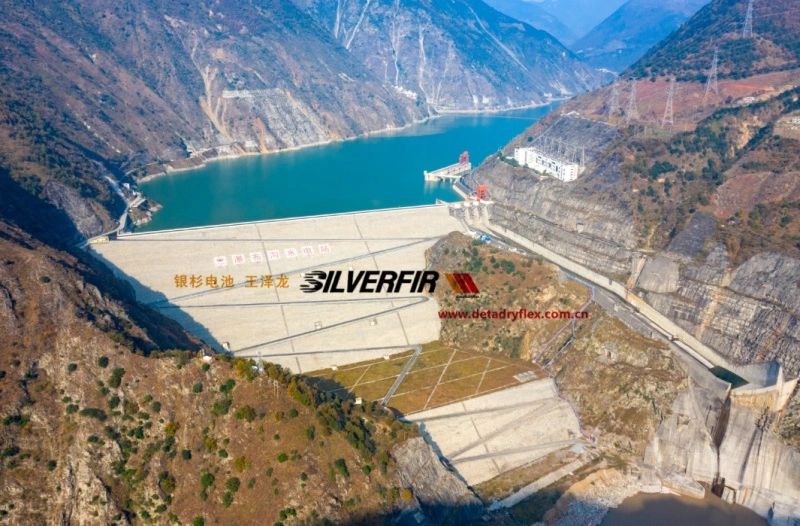 DETA dryflex Upgrade to SILVERFIR BATTERY