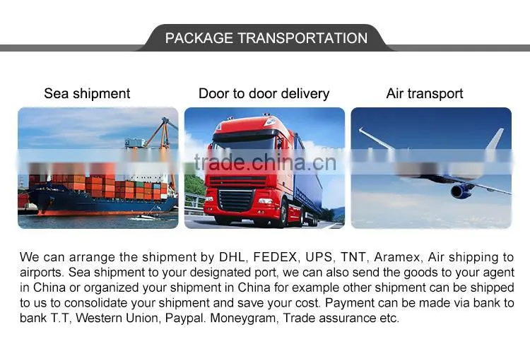 MaxWell rotary encoder autonics