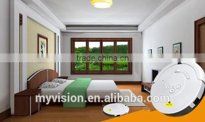 Outdoor vacuum cleaner with vacuum cleaner motor and road sweeper brushes