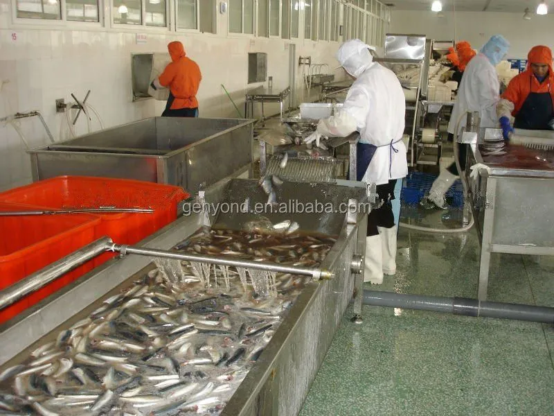 Complete Canned Fish Processing Line / Sardines Canning Machine