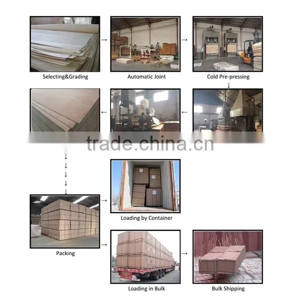 4*8feet Film Faced Plywood for Construction