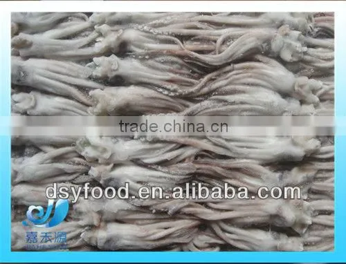 frozen processed fuzhou squid tentacles