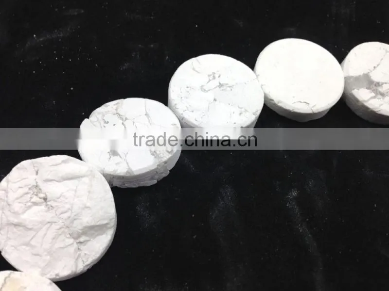 Wholesale Price Natural Stone Rough White Howlite ,White Turquoise Coin Beads