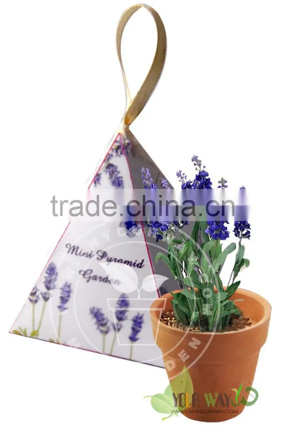 Mini Pyramid Garden, Flower Garden,lavender