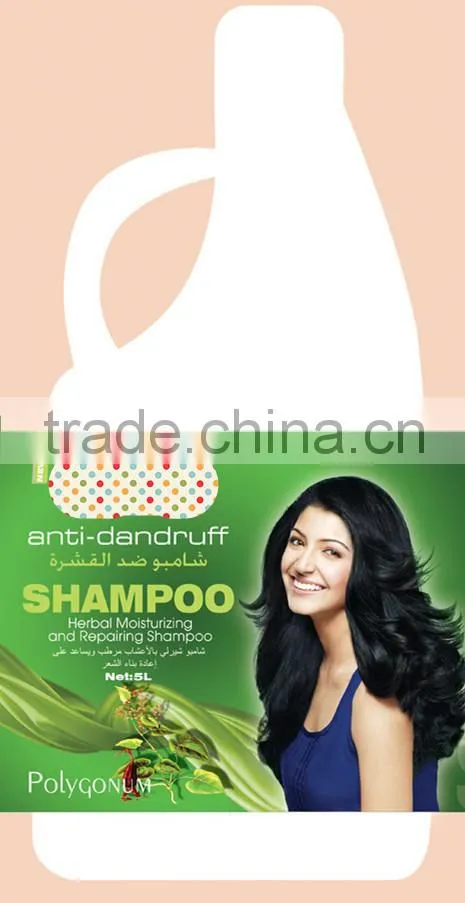 OEM Salon Hair Shampoo Series With Hair Style Products