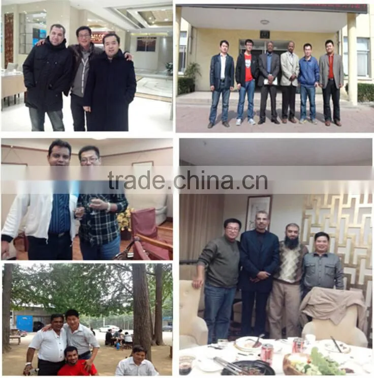 Newly High Grade wns oil steam boiler
