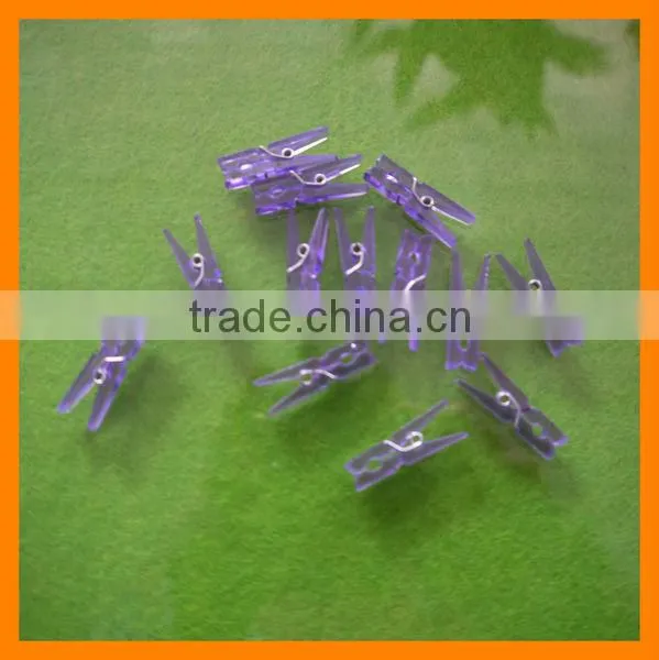 Transparent Plastic Peg