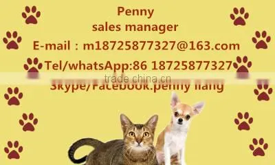 Cat application Cat Scratcher toy for wholesale
