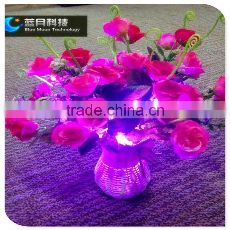 3V Christmas Holiday Name colorful led lights for gift box