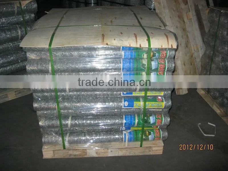 factory direct sale galvanized hexagonal weaving wire netting