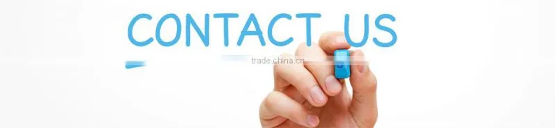 2016 New Design Product OEM Fruit Infuser Water Bottle Infusion