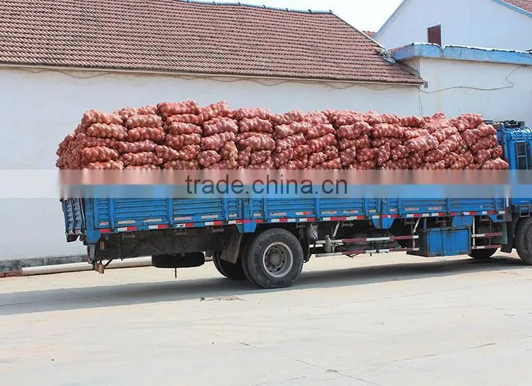 China origin onion ton market price for red onion