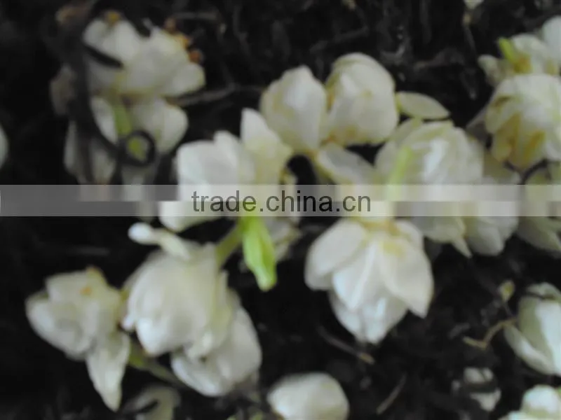 Viet nam Jasmine Green Tea