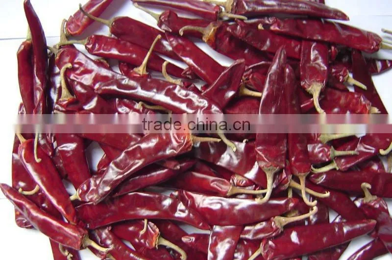 2012 hot dried chilli