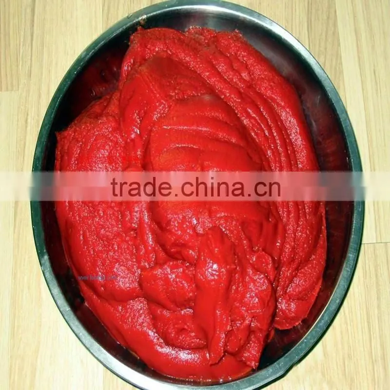 Tinned and Canned Tomato Paste 70-4500g on sale
