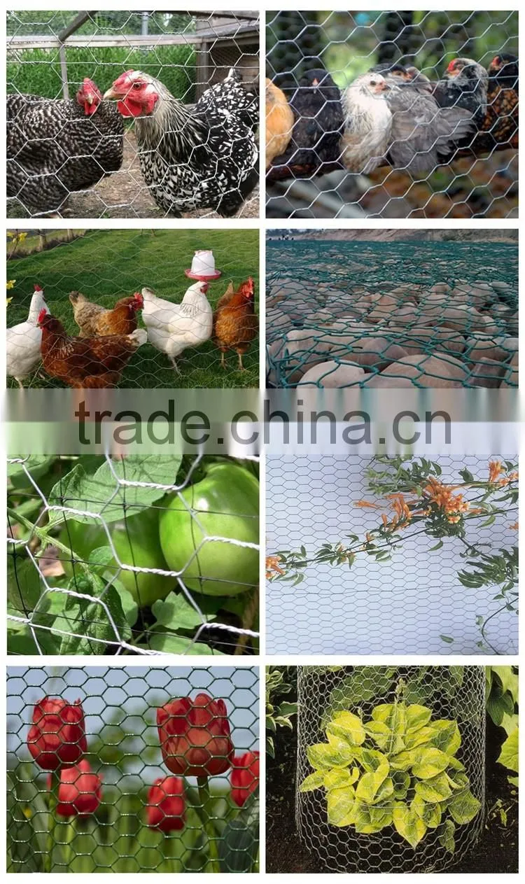 Low cost chicken coop wire netting for sale for chicken