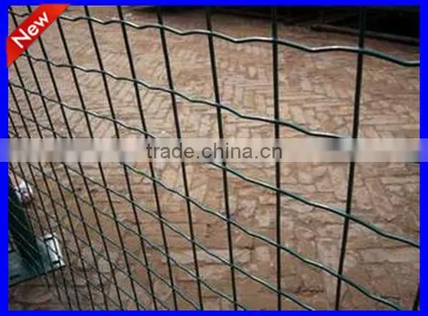 DM factory price Euro Fence at high quality