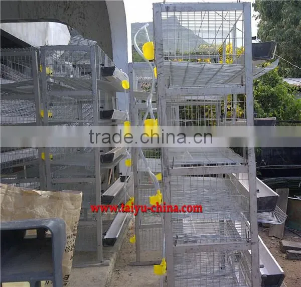 professional quail cage design