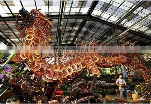 cordyceps sinensis coffee