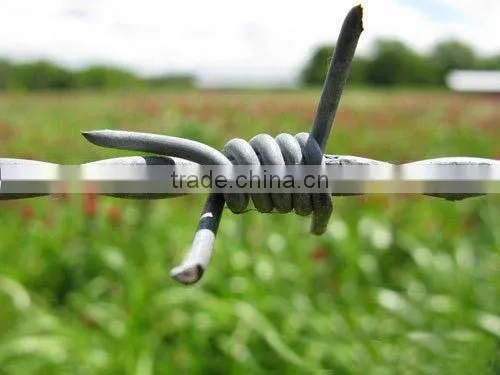 Cheap Galvanized /PVC coated double twist Barbed Wire roll