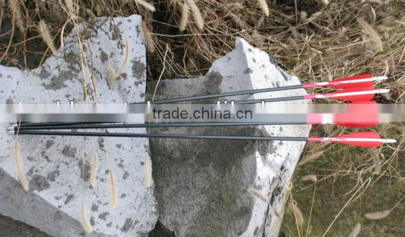 Arrow Tube